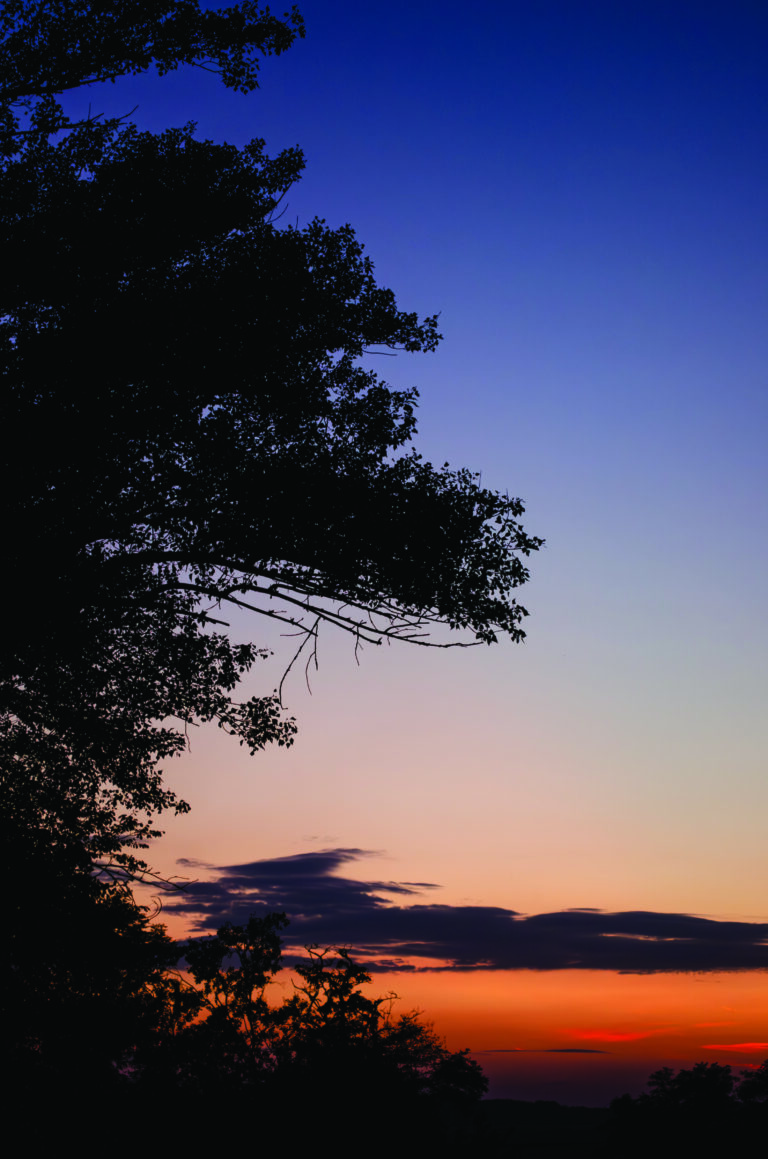 Landscape_1