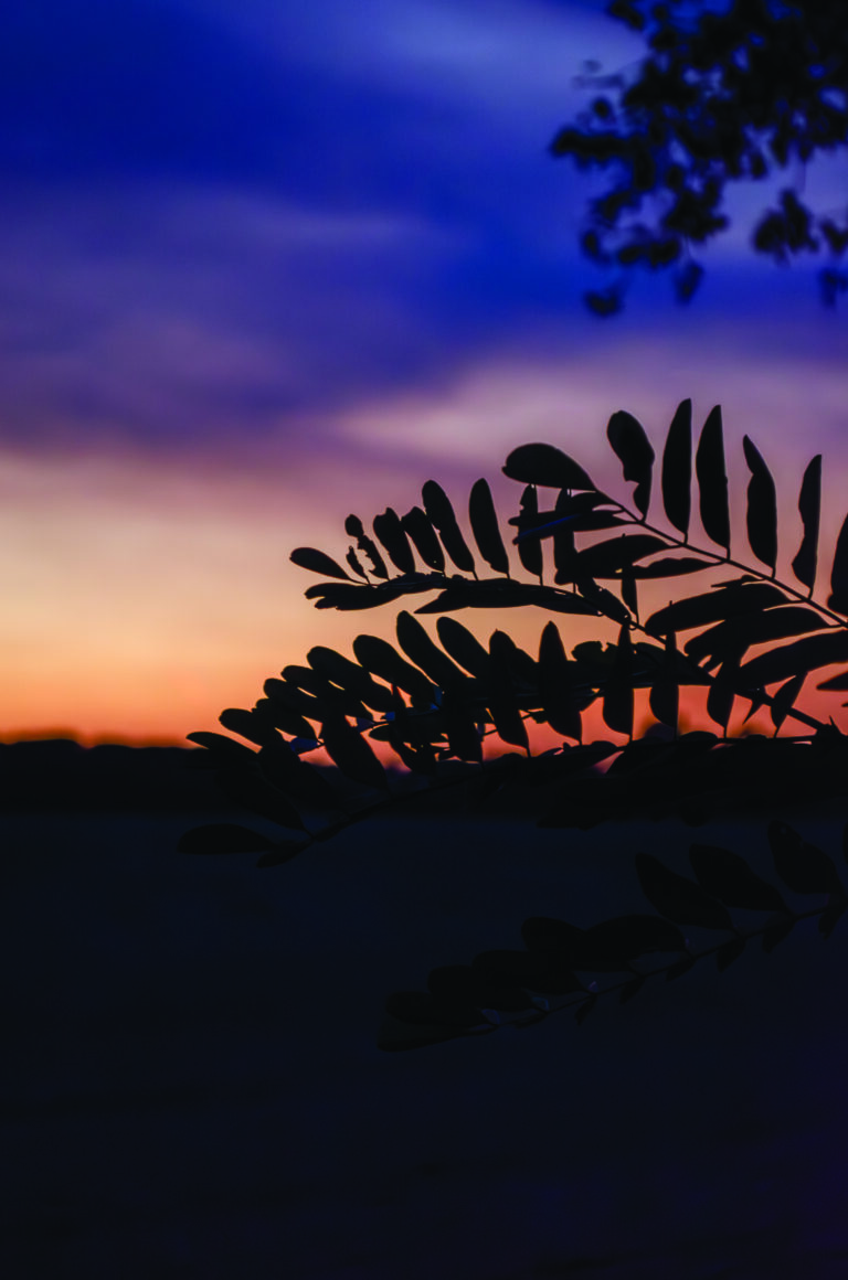 Sunset_2
